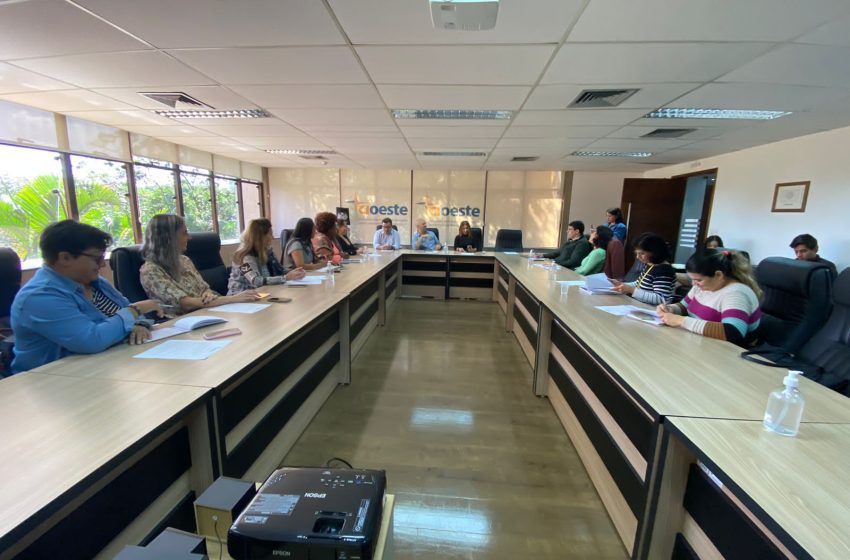  CIOESTE realiza reunião com representantes do Grupo de Trabalho de Gênero