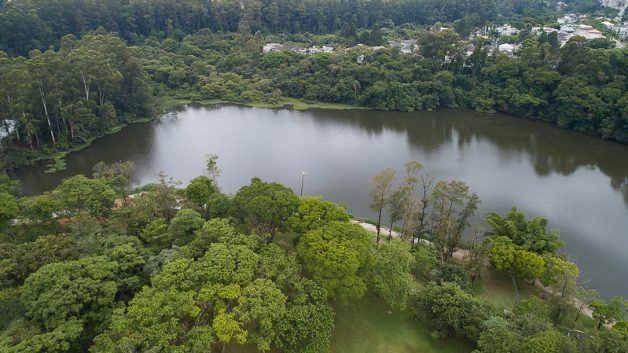  SOS Mata Atlântica classifica Barueri com baixo nível de desmatamento