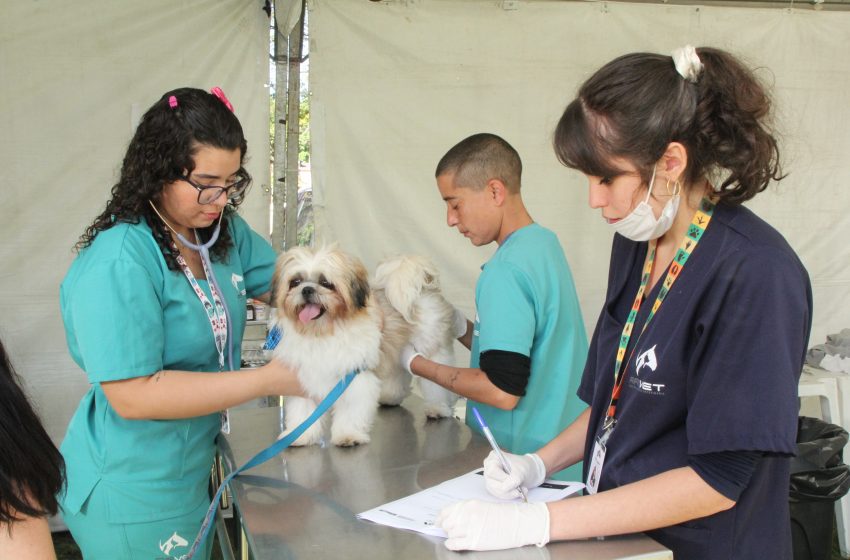  Sema abre agendamento para castração de pets no dia 6 de setembro em Barueri