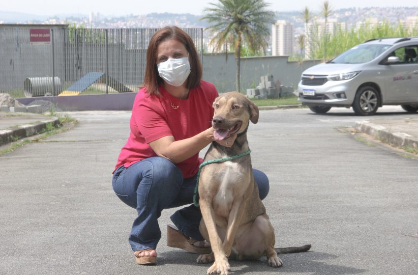  Barueri promove semana de Prevenção da Leishmaniose Visceral até 11/8