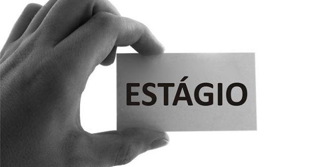  Bradesco Seguros abre vagas de estágio em Barueri