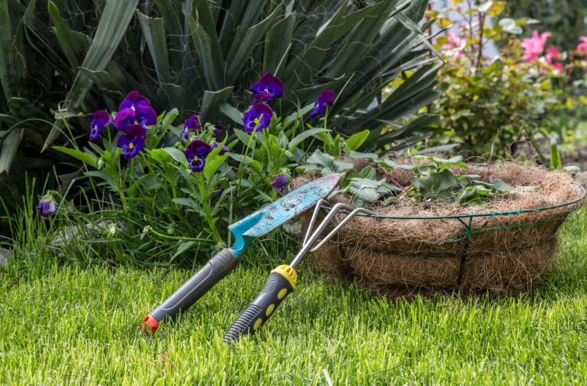  Após o Carnaval, Jandira contará também com processo seletivo para jardinagem