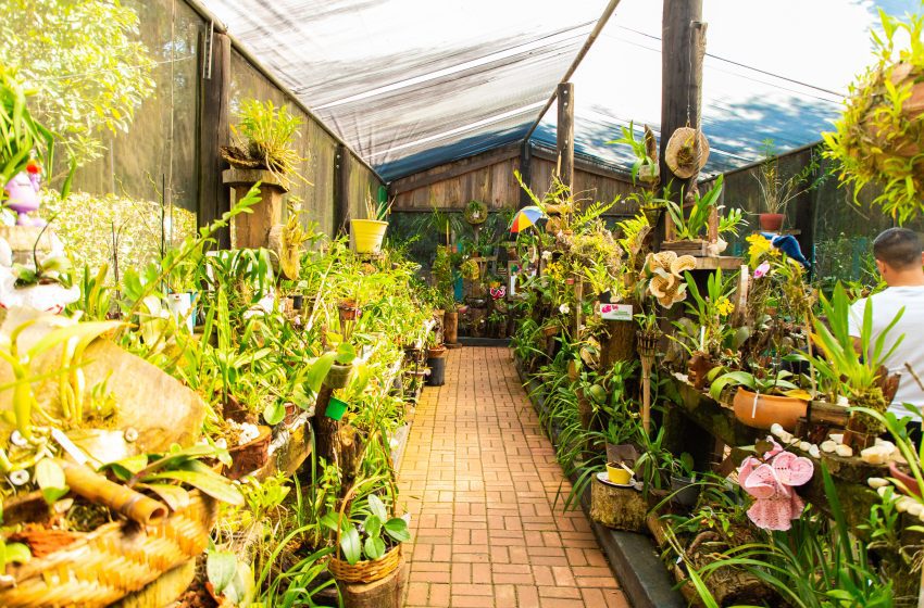  Osasco realiza processo seletivo para Estágio na Secretaria de Meio Ambiente