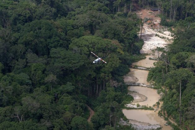  Ibama define nova prioridade para enfrentar perdas na biodiversidade e a crise climática