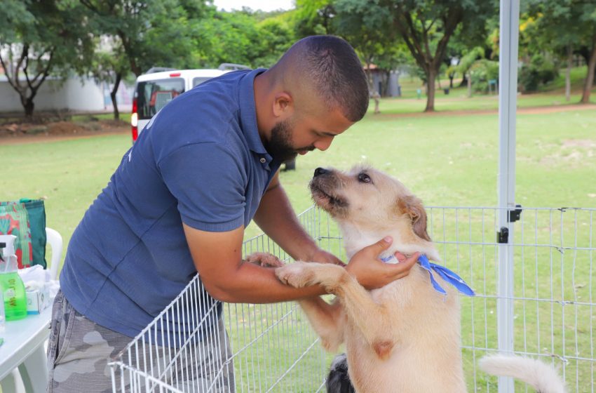  Prefeitura de Barueri abre agendamento para castração gratuita de animais de estimação a partir de 7 de maio
