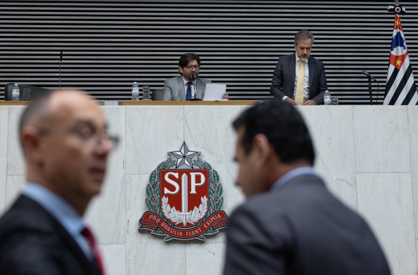  Alesp aprimora e aprova projeto para regulamentar comércio e garantir bem-estar de cães e gatos