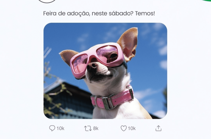  Parque Shopping Barueri recebe feira de adoção de pets em agosto