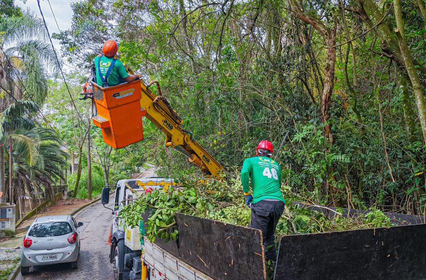 Santana de Parnaíba intensifica serviço de poda de árvores por toda cidade