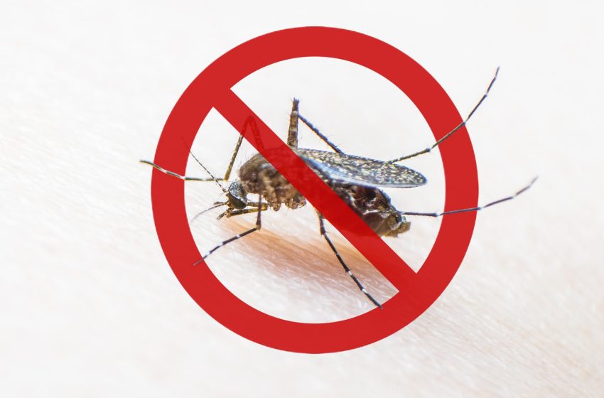  Jandira intensifica ações de prevenção nos casos de Dengue