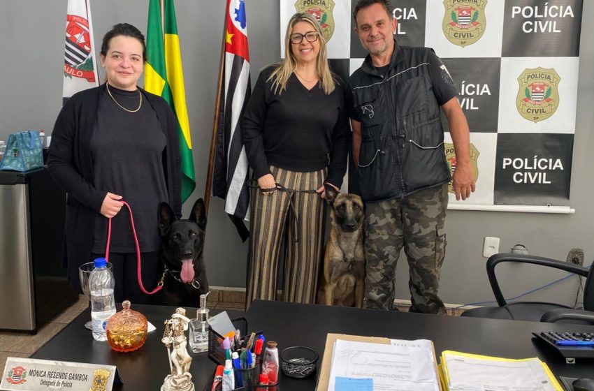  Agosto Lilás: Cotia terá exibição de ‘Cão Protetor para Mulheres Vítimas de Violência’