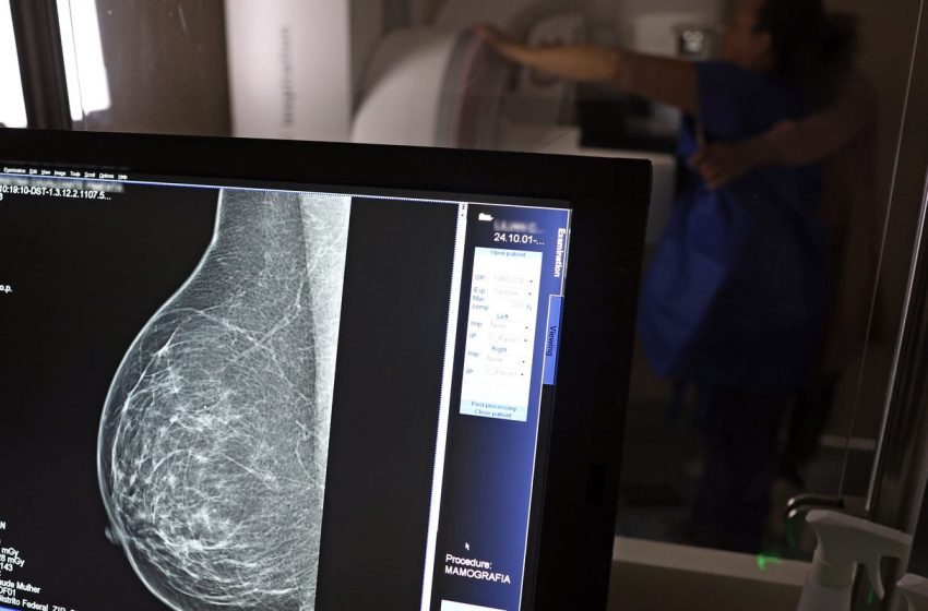  Câncer de mama hereditário: risco e prevenção no brasil