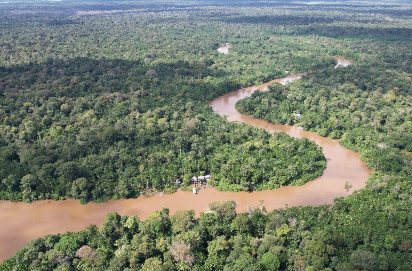  Cop30: países apresentam planos climáticos e buscam financiamento