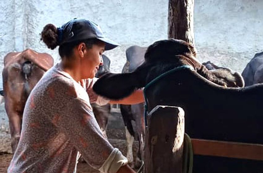  Mulheres rurais enfrentam informalidade e desigualdade no campo