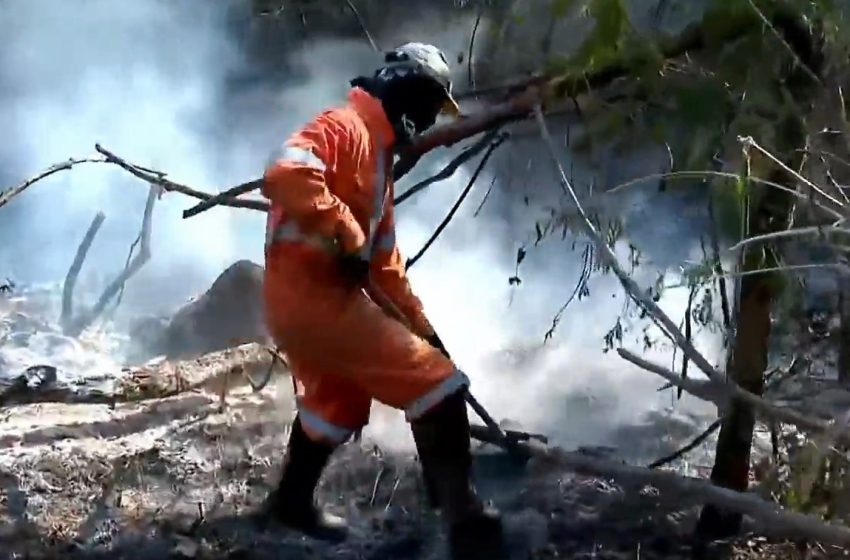 Temperaturas altas e seca elevam risco de queimadas no vale do paraíba