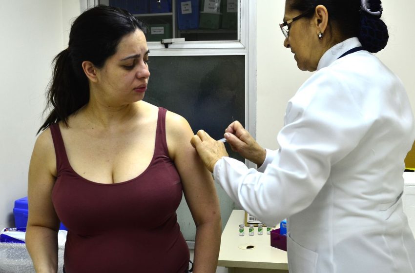  Vacina contra bronquiolite estará disponível para grávidas a partir de dezembro