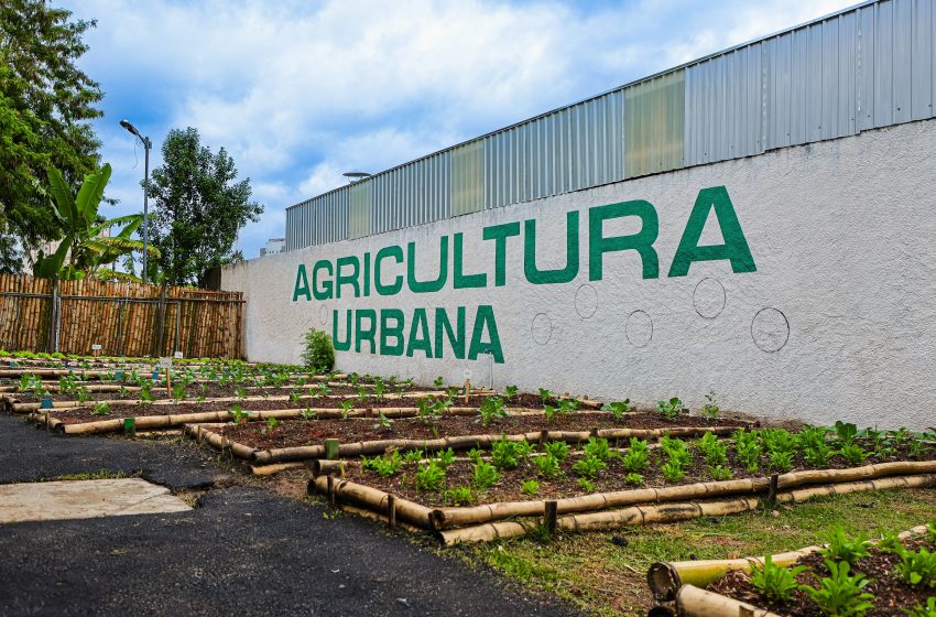  Osasco amplia sustentabilidade e inaugura 21ª horta urbana do programa Osasco Solidário