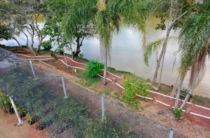  Domingo, 9, tem entrega da revitalização e de novos projetos do Viveiro Municipal de Cotia