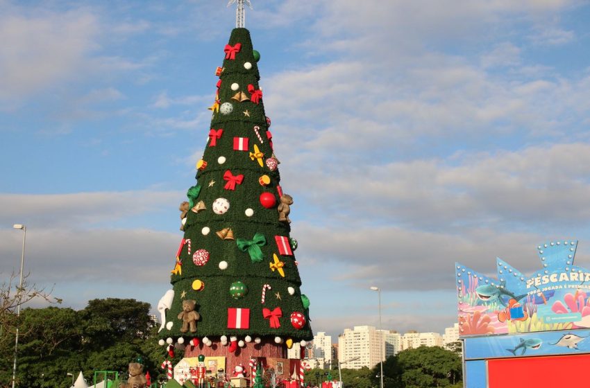  Árvore de natal: origens e tradições do símbolo natalino