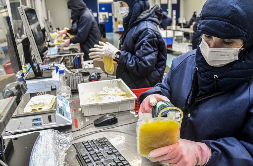  Sus amplia em 30% o uso de plasma sanguíneo