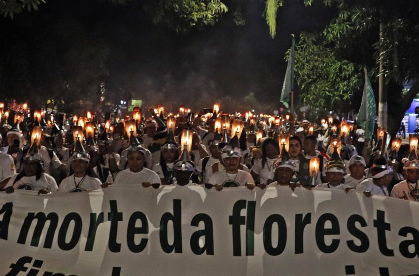  Primeira semana da cop30 em belém sinaliza avanços promissores
