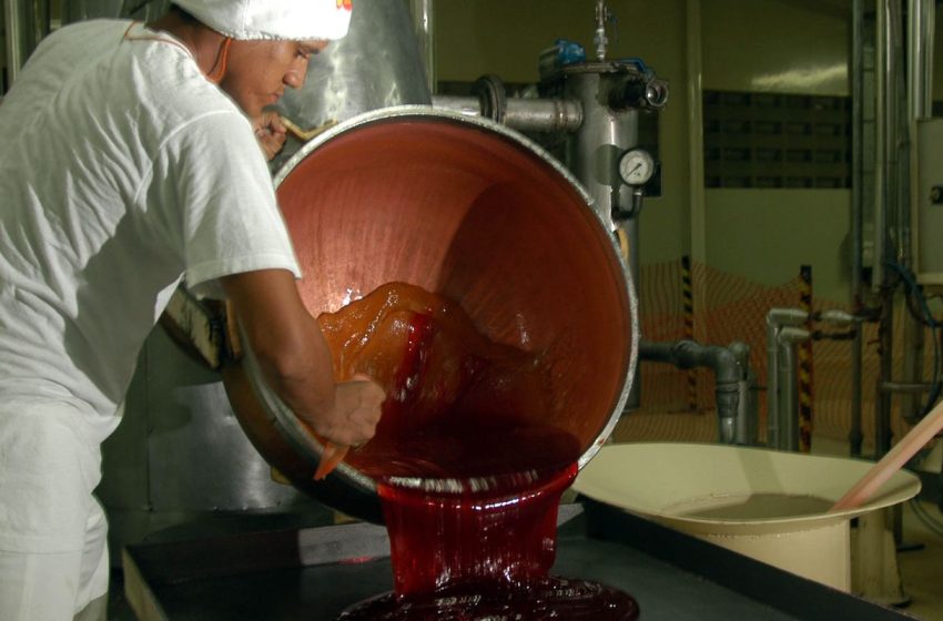  Produção industrial brasileira registra leve alta em outubro, aponta ibge