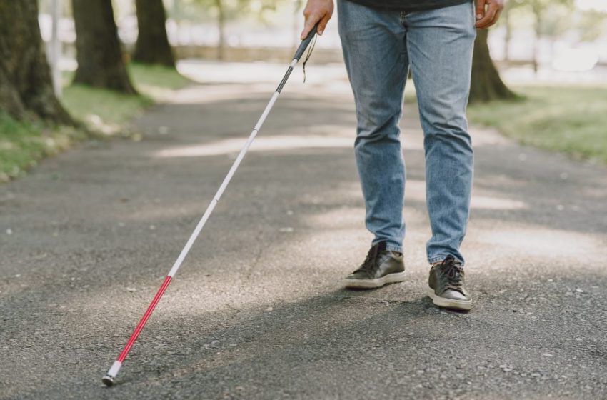  Etecs e Fatecs inovam com tecnologias para deficientes visuais e inclusão