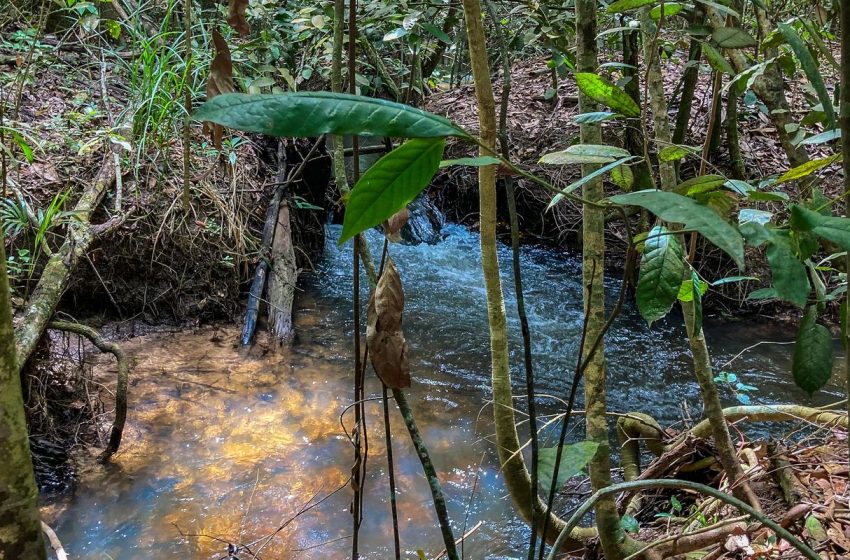  Disponibilidade global de água renovável declina 7% em uma década