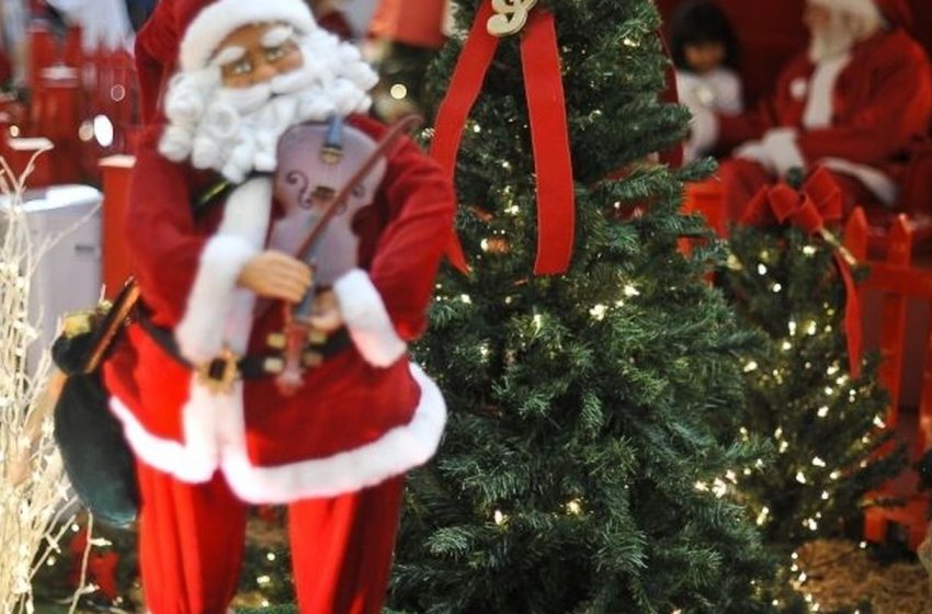  Árvore dos sonhos ilumina Natal de crianças carentes em Belém