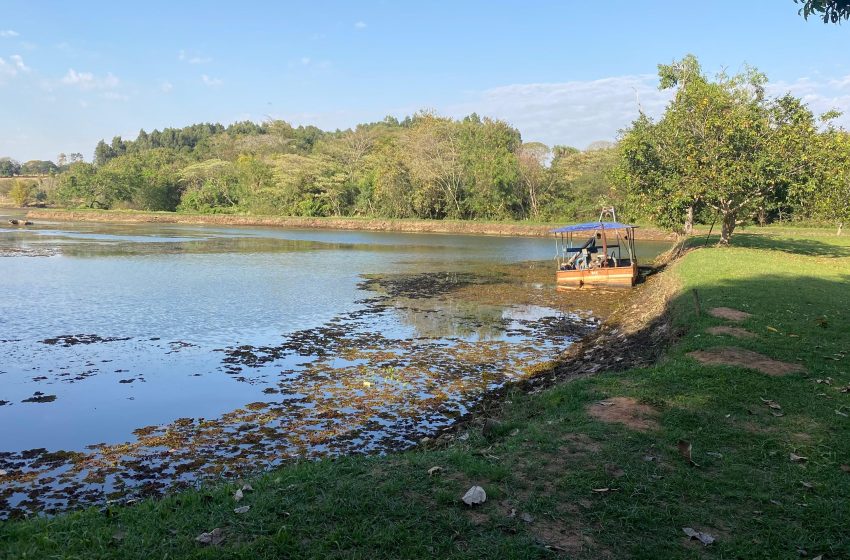  Chuvas afetam qualidade da água na Lagoa do Rio Batalha e reforçam
