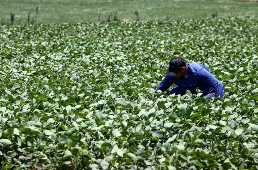 SP Produz impulsiona desenvolvimento regional com investimento de R$ 35 milhões