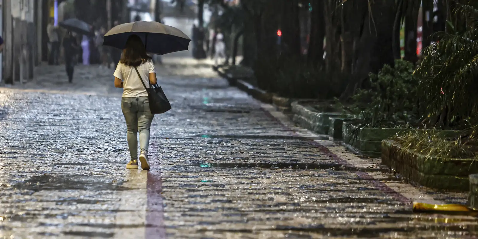 © Paulo Pinto/Agência Brasil