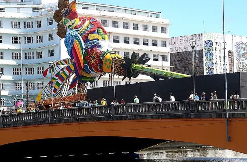  Carnaval de Recife: Galo da Madrugada honra Dom Helder e Nise da