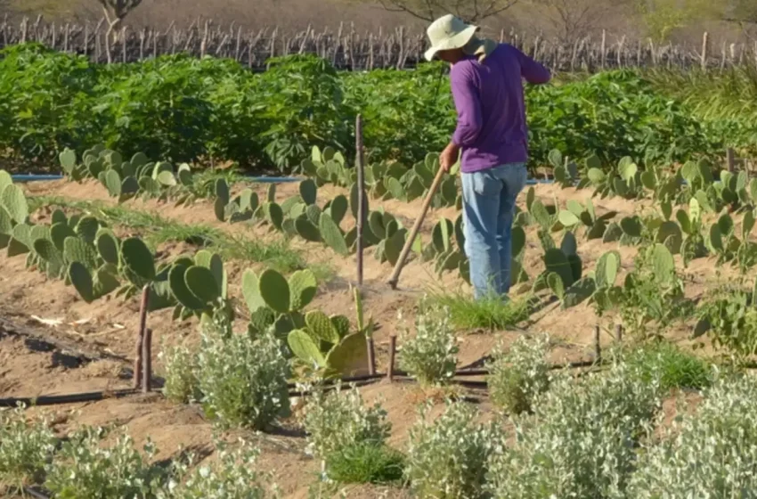  Decretos presidenciais declaram terras para reforma agrária