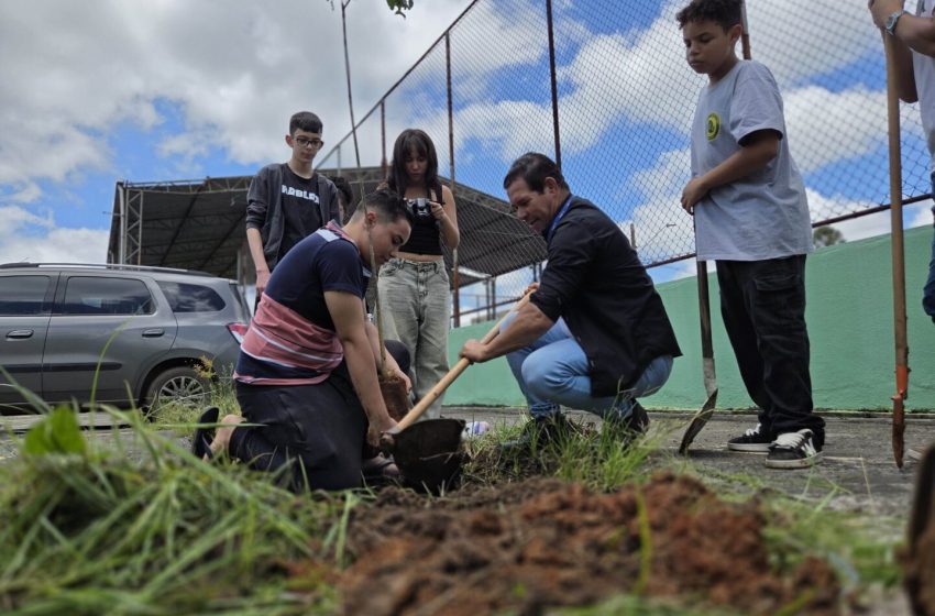  Cotia inicia”Projeto Pau-Brasil”por Caucaia do Alto e reforça consciência ambiental