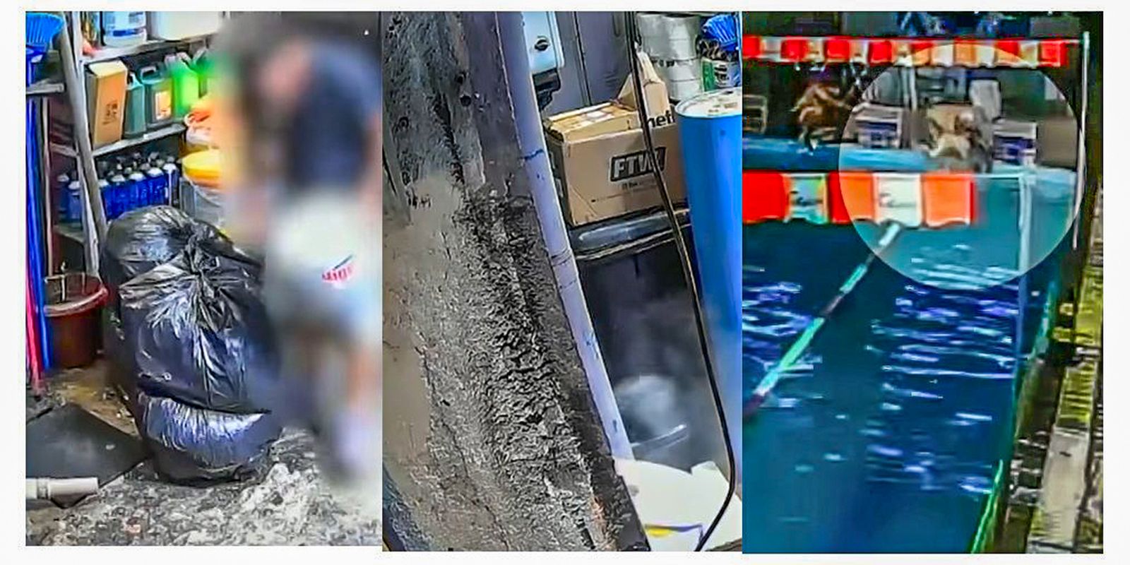 © Câmera de segurança da academia C4Gym