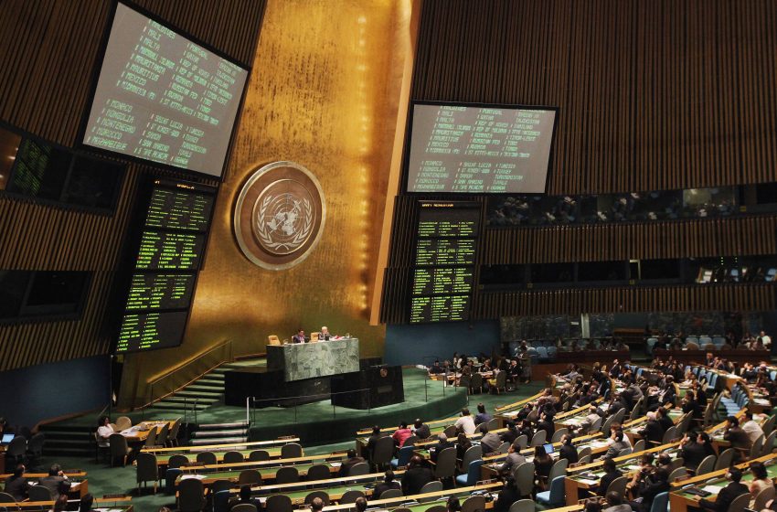  Relatora da ONU chega ao Brasil para debater violência contra mulheres