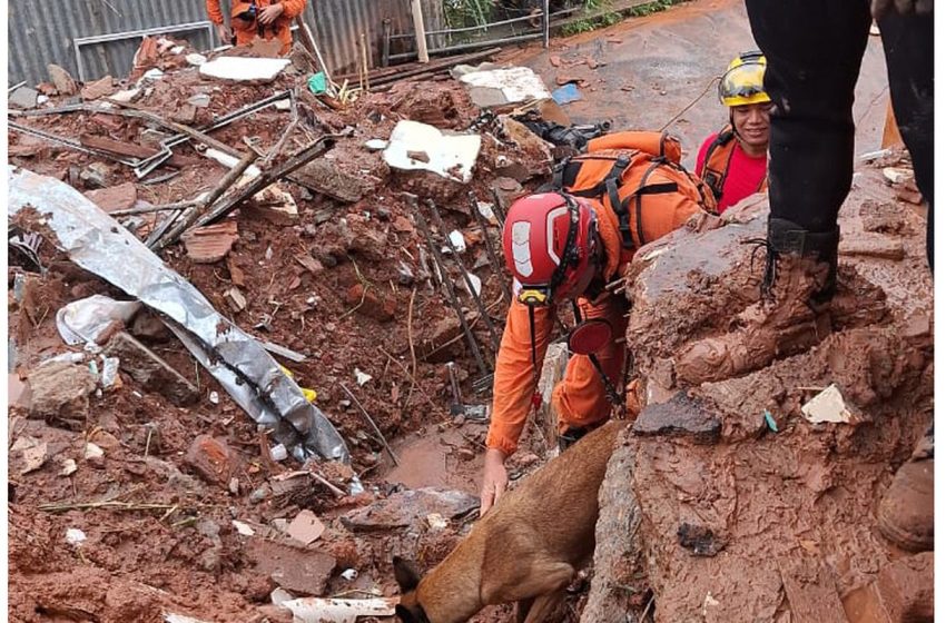  Solidariedade em minas: o impacto das cheias no rio Paraibuna e Juiz