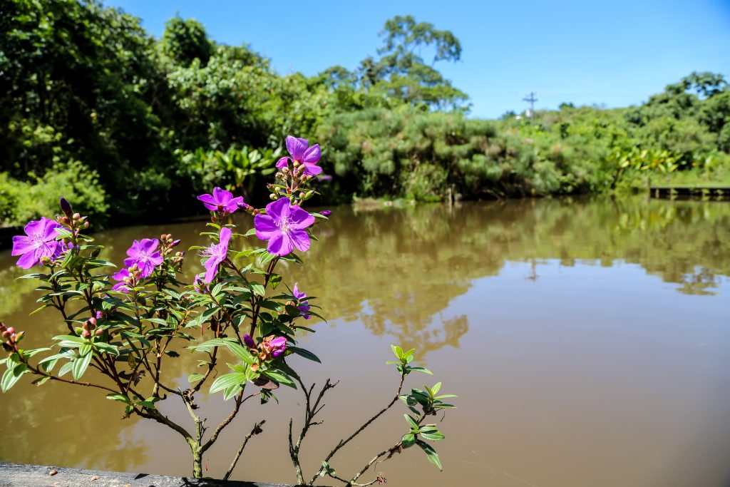 Agência SP