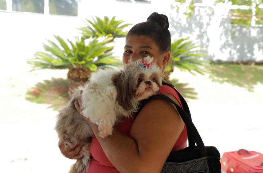  Barueri abre agendamento para castração de pets dia 6 de maio